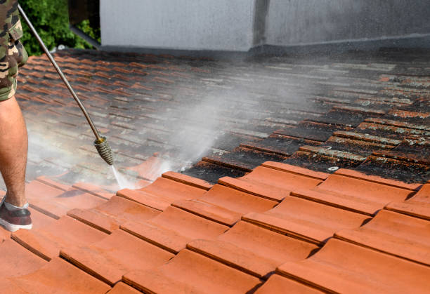 Best Local Pressure Washing Services  in Pinecrest, FL