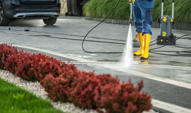 Best Pressure Washing Patio  in Pinecrest, FL